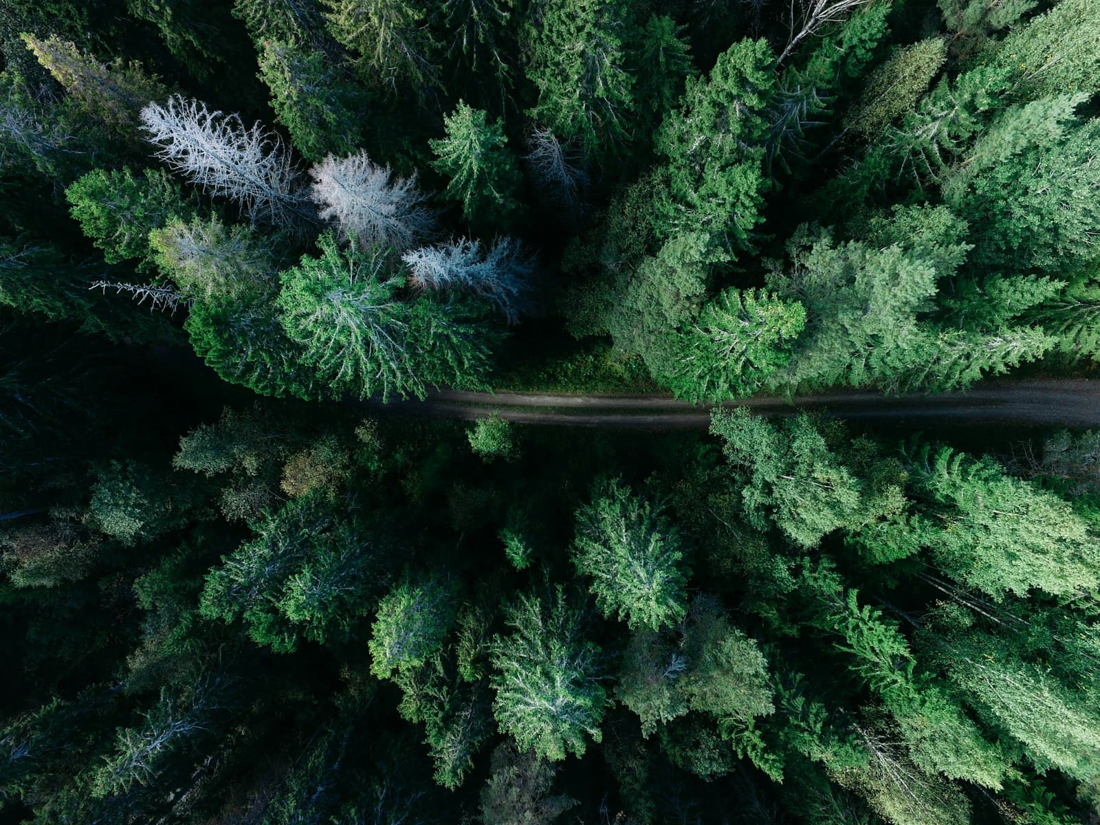 Why AI needs guardrails image