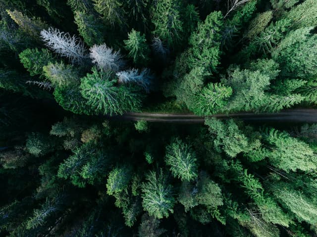 Why AI needs guardrails image